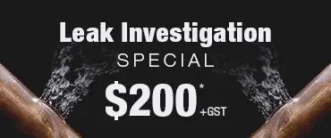 Leak Investigation Discount Wiri